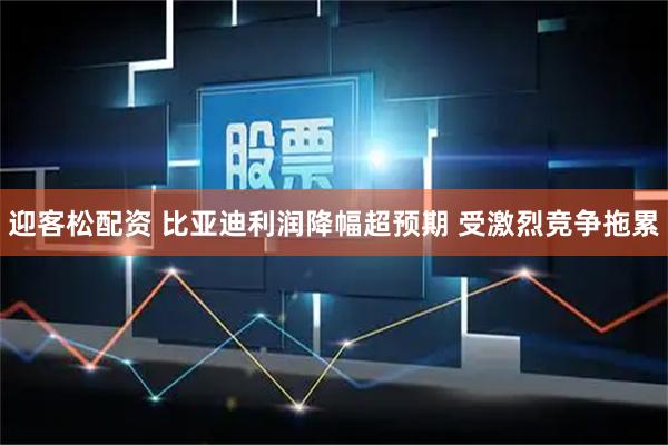 迎客松配资 比亚迪利润降幅超预期 受激烈竞争拖累