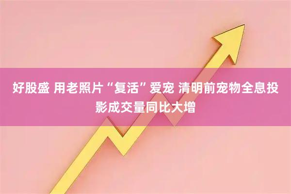 好股盛 用老照片“复活”爱宠 清明前宠物全息投影成交量同比大增